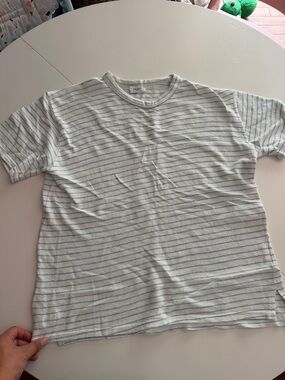 Striped Crewneck Tee in White and Light Blue